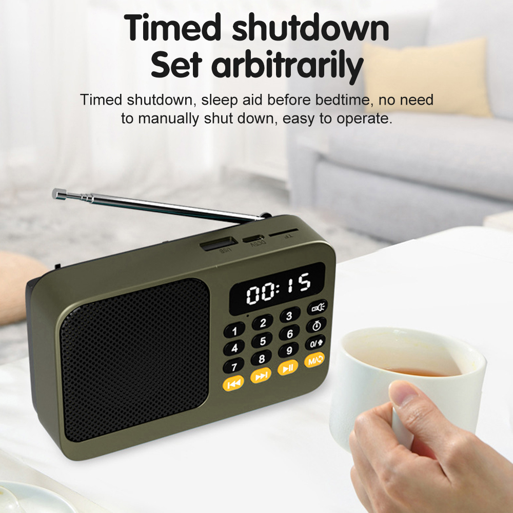 Handheld Rechargeable Digital  - Audio Music App review and price